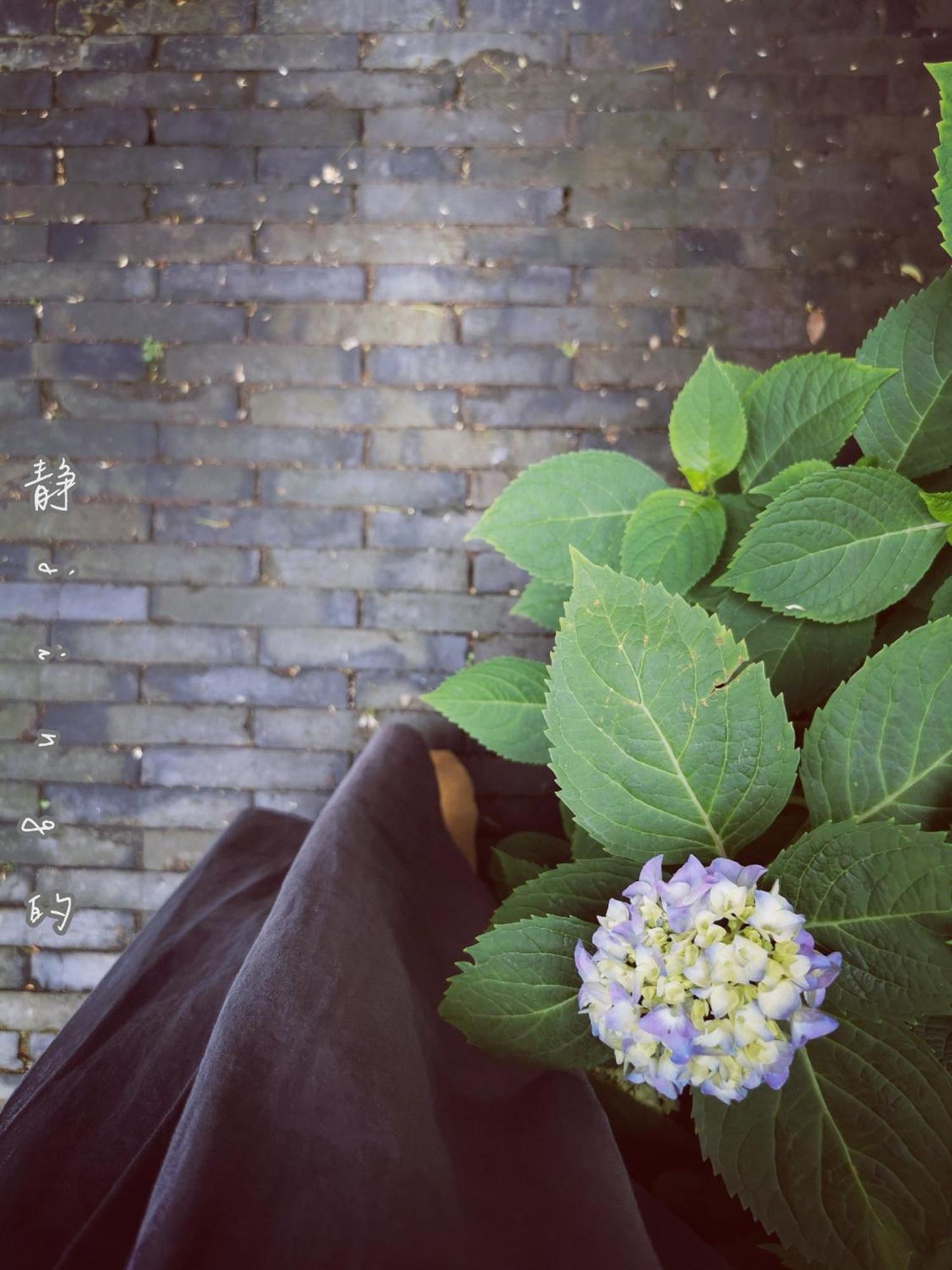 Suzhou Houlishenghuo Guesthouse Экстерьер фото